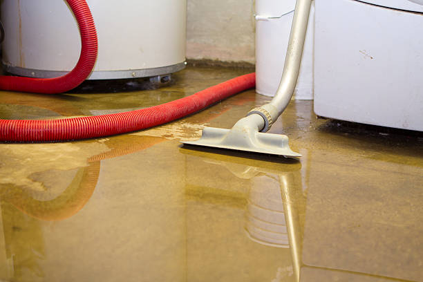 Best Crawl Space Water Damage Solutions in Coeur Dalene, ID